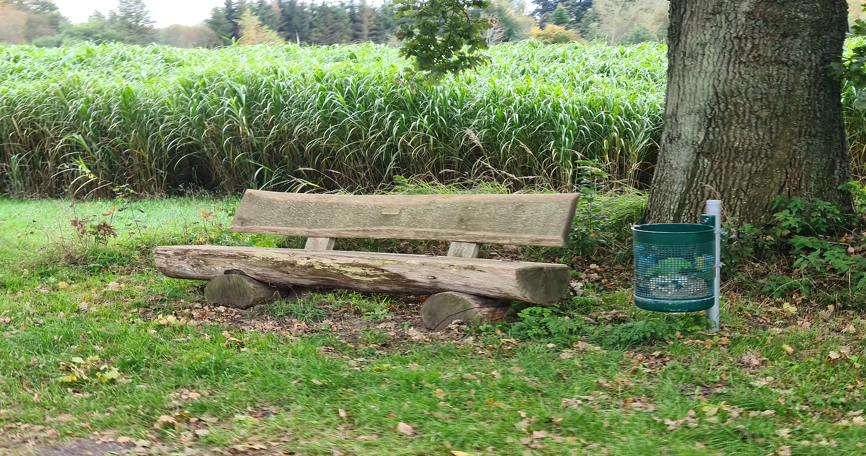 Bank zur Entspannung, in der Natur.