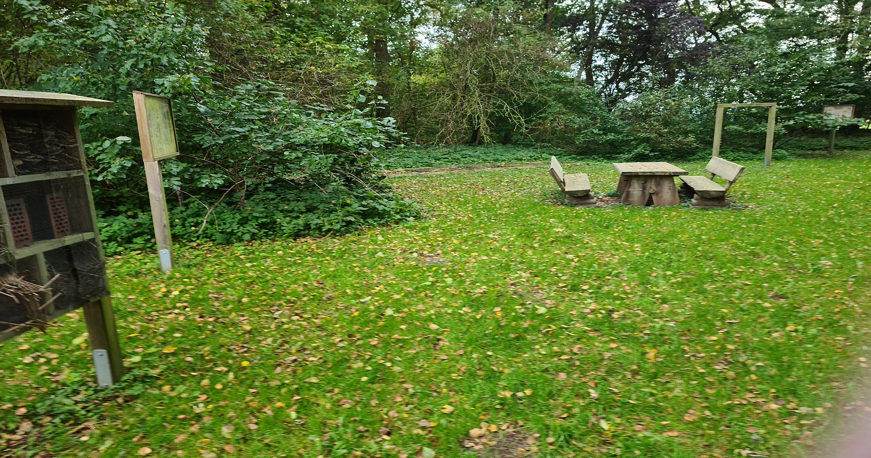 Wiese mit Sitzgelegenheit und Bienenhotels.